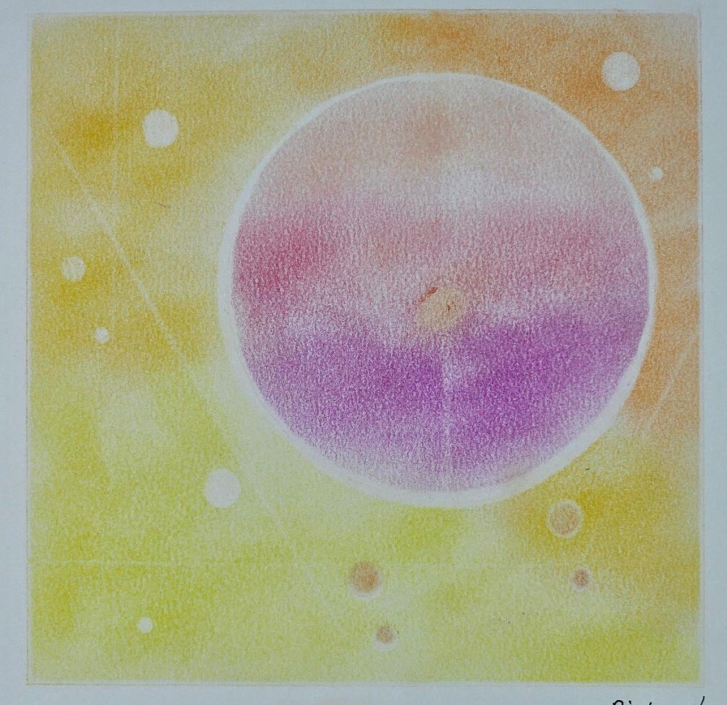 圓：和諧粉彩的心靈象徵